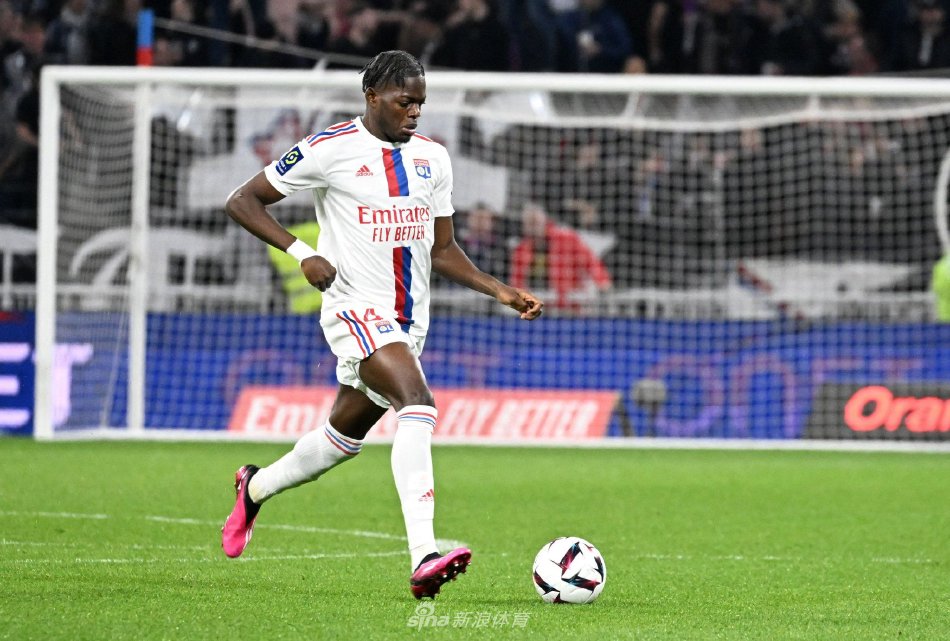 全面的表现 全面的表现